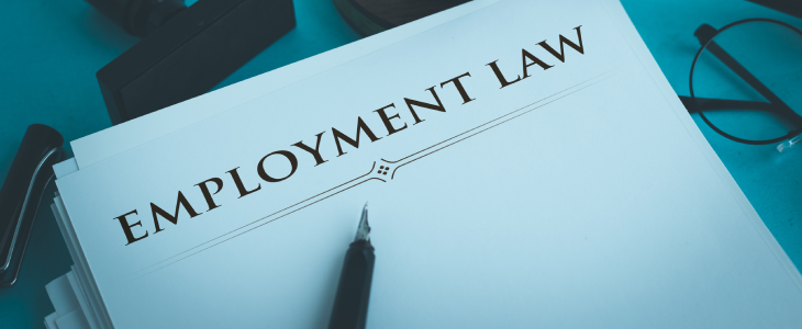 Employment law counselling for businesses
